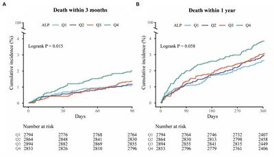 Impact of alkaline phosphatase on clinical outcomes in patients with ischemic stroke: a nationwide registry analysis